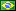 REAL BRASILEÑO